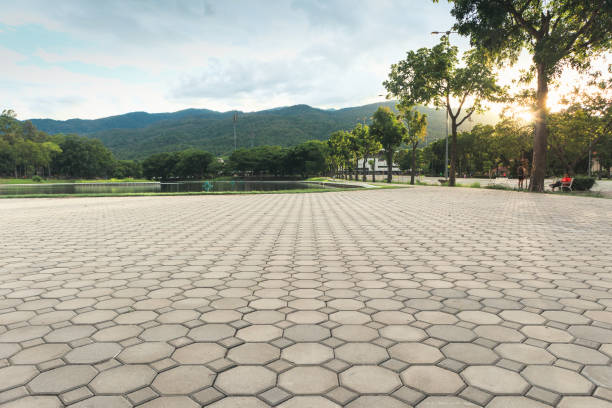 Best Permeable Paver Driveway  in , MN